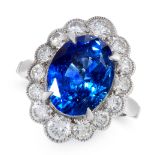 A SAPPHIRE AND DIAMOND DRESS RING in 18ct white gold, set with an oval cut blue sapphire of 6.18