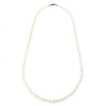 PEARL AND DIAMOND NECKLACE designed as a single row of pearls measuring 4.7-10.3mm, to a clasp set