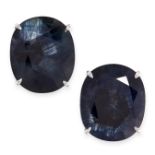 PAIR OF SAPPHIRE STUD EARRINGS each claw-set in white gold with a cushion-shaped sapphire, post