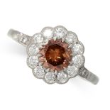 BROWN DIAMOND CLUSTER RING comprising of a round cut brown diamond of 1.00 carats in a border of