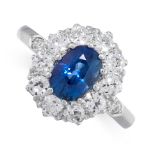 A SAPPHIRE AND DIAMOND CLUSTER RING in platinum, set with a cushion cut blue sapphire of 1.50