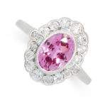 AN UNHEATED PINK SAPPHIRE AND DIAMOND RING in cluster design, set with an oval cut pink sapphire