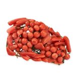 AN ANTIQUE CORAL HAIR ORNAMENT / CLIP the body set with coral beads and coral twigs, no assay marks,