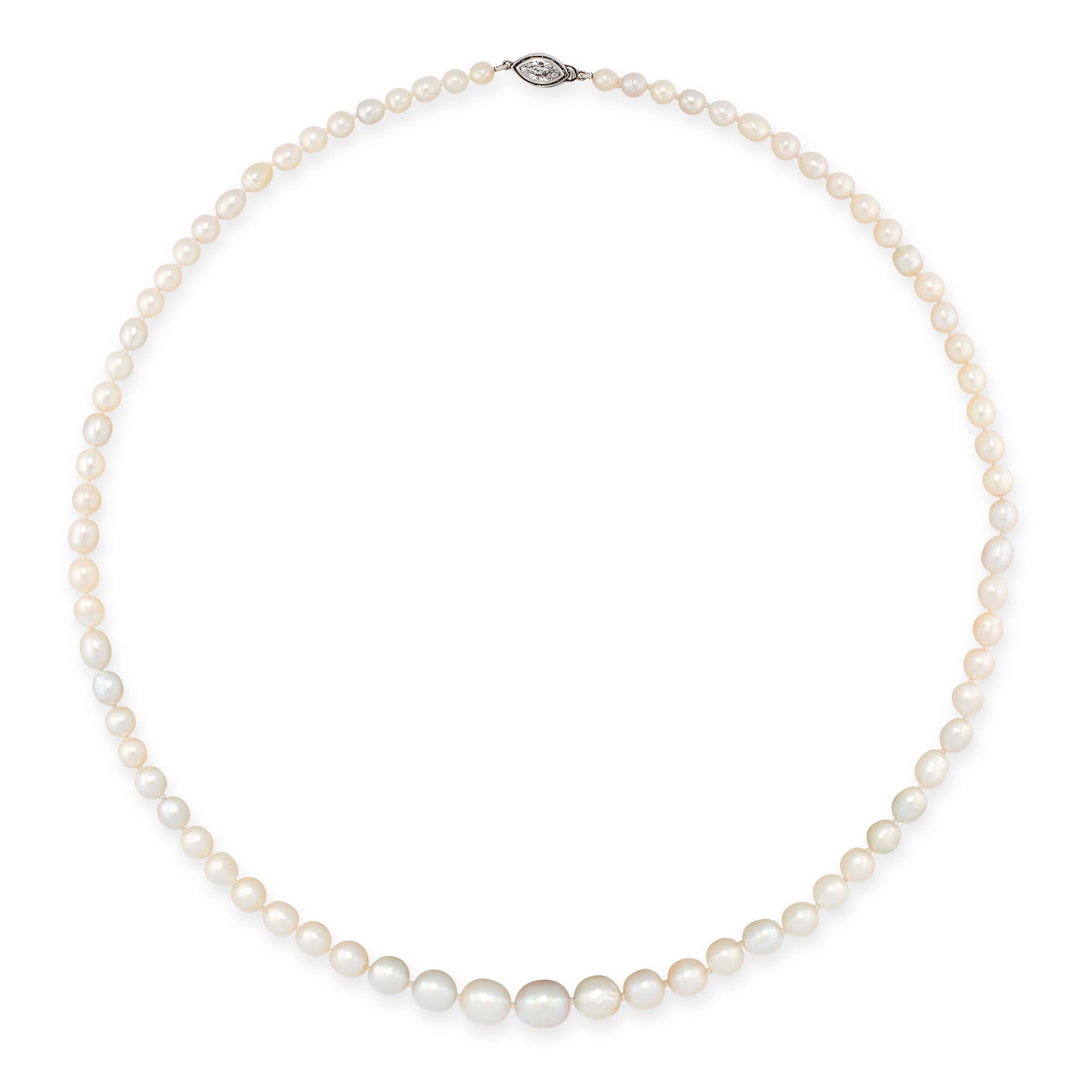 A FINE NATURAL PEARL AND DIAMOND NECKLACE comprising a single row of seventy-six graduated natural