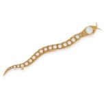 AN ANTIQUE PEARL BROOCH in 15ct yellow gold, designed as a snake, the body set with nineteen pearls,