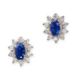 A PAIR OF SAPPHIRE AND DIAMOND CLUSTER STUD EARRINGS in white gold, each set with an oval cut blue