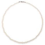 A PEARL AND DIAMOND NECKLACE in 18ct white gold, comprising a single row of pearls ranging from 3.