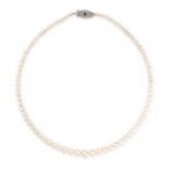 A PEARL, SAPPHIRE AND DIAMOND NECKLACE comprising a single row of eighty-one graduated pearls