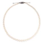 A PEARL, SAPPHIRE AND DIAMOND NECKLACE comprising a single row of sixty-five graduated pearls