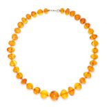AN AMBER BEAD NECKLACE comprising a single row of thirty seven amber beads, the trigger clasp in 9ct