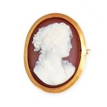 AN ANTIQUE HARDSTONE CAMEO BROOCH, LATE 19TH CENTURY in yellow gold, the oval body set with a
