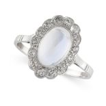 A MOONSTONE AND DIAMOND DRESS RING in platinum, set with an oval cabochon moonstone of 1.79