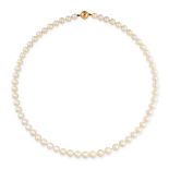 A PEARL NECKLACE  Sixty-one pearls  Magnetic bead clasp  No assay marks  Length 415mm  20.2 grams
