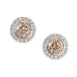 A PAIR OF DIAMOND CLUSTER STUD EARRINGS  Round brilliant cut fancy coloured diamonds, approximate