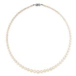 A PEARL NECKLACE  Seventy-seven graduated pearls, ranging 3.8mm to 7.6mm  Rose cut gemstone set to
