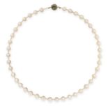 A PEARL AND TOURMALINE NECKLACE in 18ct yellow gold, comprising of a single row of pearls ranging