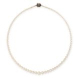 A PEARL AND DIAMOND NECKLACE comprising a single row of graduated pearls ranging from 2.9mm to 7.