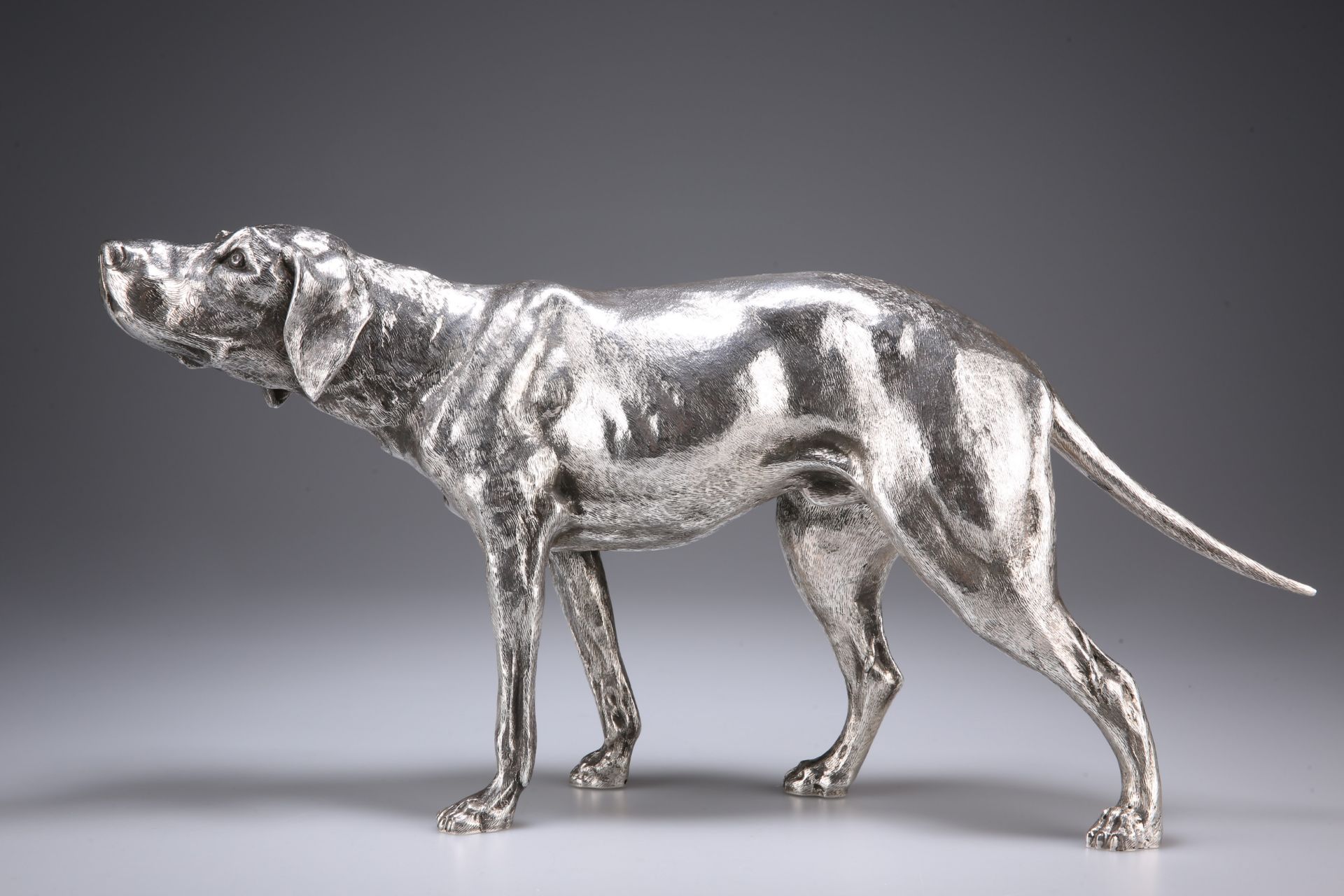 A LARGE GERMAN SILVER MODEL OF A WEIMARANER, 20TH CENTURY, lacking maker's mark, the dog modelled - Image 2 of 6