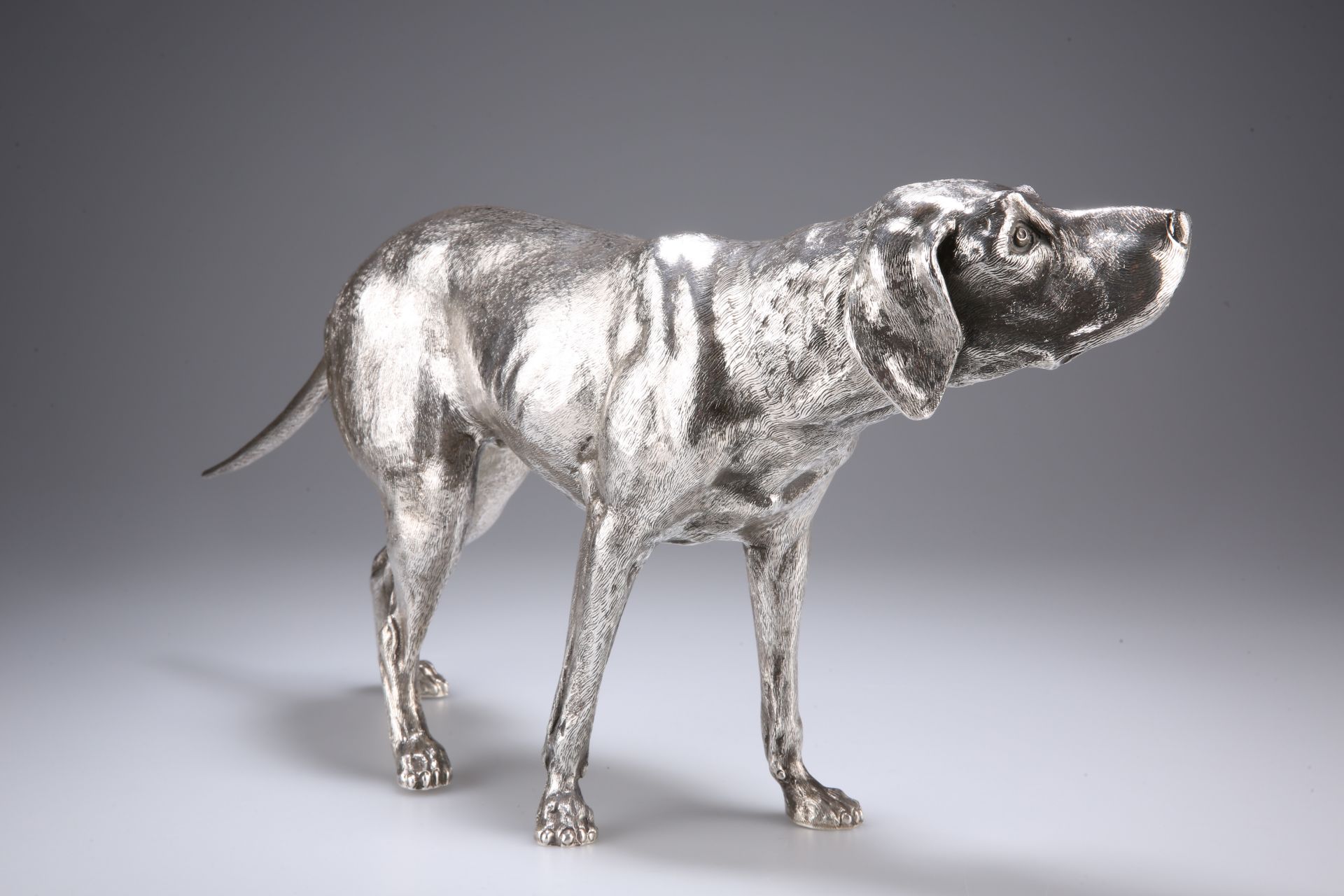 A LARGE GERMAN SILVER MODEL OF A WEIMARANER, 20TH CENTURY, lacking maker's mark, the dog modelled - Image 3 of 6