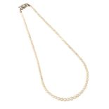 A NATURAL SALTWATER PEARL CHOKER NECKLACE, WITH DIAMOND SET CLASP