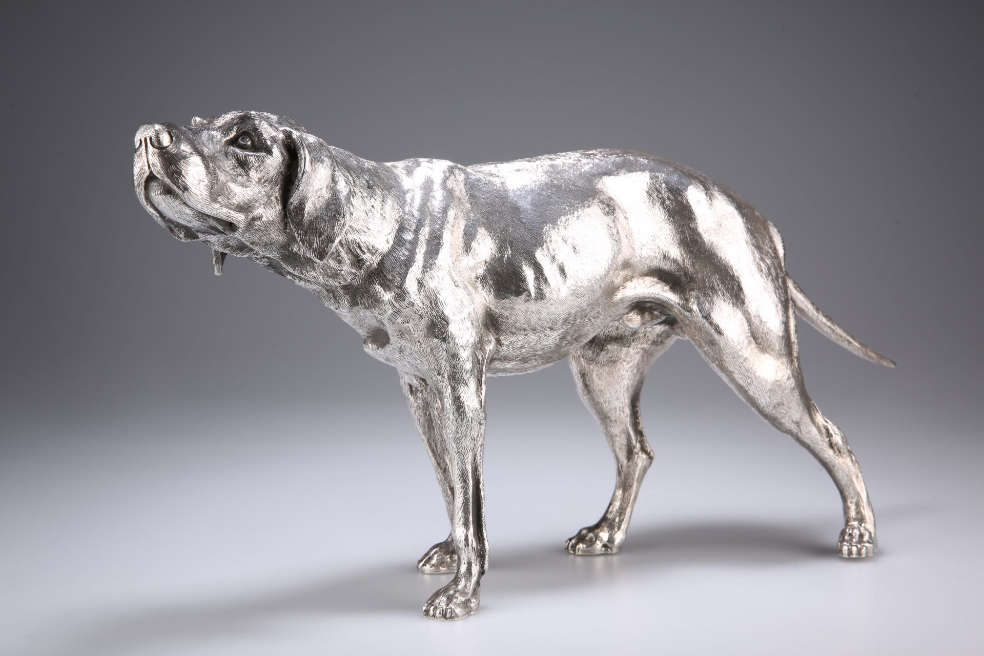 A LARGE GERMAN SILVER MODEL OF A WEIMARANER, 20TH CENTURY, lacking maker's mark, the dog modelled