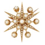 A LATE VICTORIAN PEARL STAR BROOCH/PENDANT
