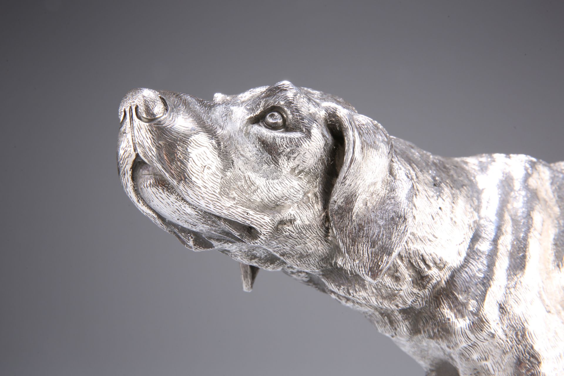 A LARGE GERMAN SILVER MODEL OF A WEIMARANER, 20TH CENTURY, lacking maker's mark, the dog modelled - Image 4 of 6