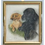 ~ MARJORIE COX (1915-2003), STUDY OF DOGS, signed and dated 1985, pastel, framed. 55cm by 49cm