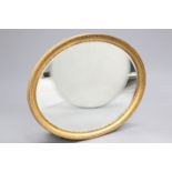 A LARGE 19TH CENTURY GILT-COMPOSITION OVAL MIRROR