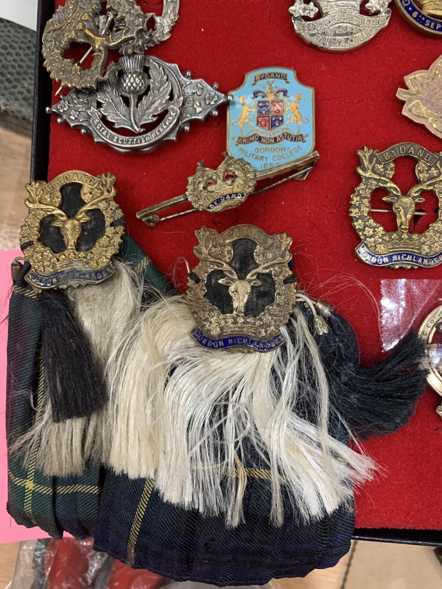 A QUANTITY OF SWEETHEART BROOCHES, FOR GORDON HIGHLANDERS - Image 5 of 7