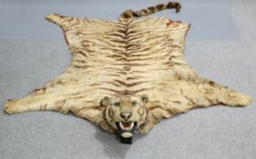 TAXIDERMY: TIGER SKIN