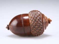 A 19TH CENTURY COQUILLA NUT NOVELTY NUTMEG GRATER