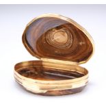 AN 18TH CENTURY GOLD-MOUNTED AGATE SNUFF BOX