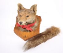 AN ANTHROPOMORPHIC RED FOX MASK