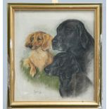 MARJORIE COX (1915-2003), STUDY OF DOGS