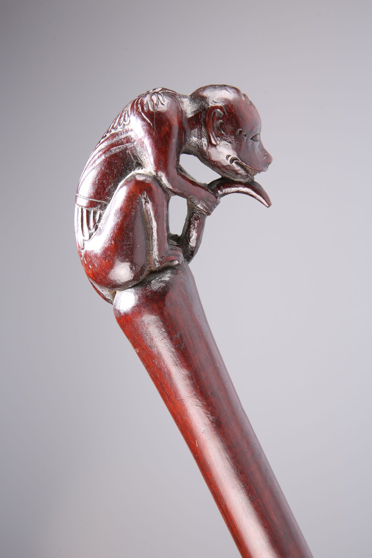 A 19TH CENTURY CARVED WALKING STICK