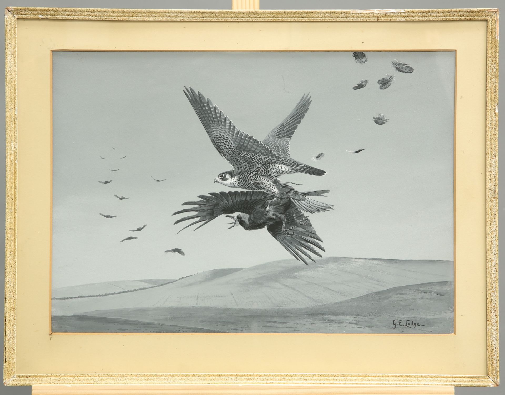 GEORGE EDWARD LODGE (1860-1954), PEREGRINE FALCON CAPTURING A ROOK IN FLIGHT