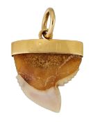 A SHARK TOOTH PENDANT