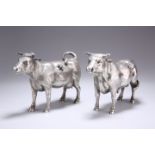 A PAIR OF SILVER MODELS OF CATTLE