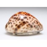 A GEORGE IV SCOTTISH COWRIE SHELL SNUFF
