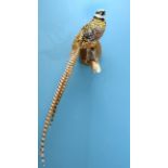 TAXIDERMY: REEVES PHEASANT (Syrmaticus reevesii)