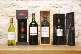 5 BOTTLES INCLUDING 3 MAGNUMS MIXED LOT OF EXCELLENT AND INTERESTING WINES TO INCLUDE PENFOLDS BIN 3
