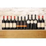 12 BOTTLES MIXED LOT GOOD ITALIAN RED DRINKING WINES COMPRISING : 3 BOTTLES CANNONAU ‘PICO DEL
