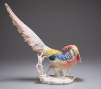 A KARL ENS PORCELAIN MODEL OF A GOLDEN PHEASANT