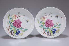 A PAIR OF CHINESE FAMILLE ROSE PORCELAIN PLATES