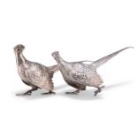 TWO SMALL SILVER COCK PHEASANTS