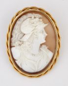 A 19TH CENTURY SHELL CAMEO BROOCH