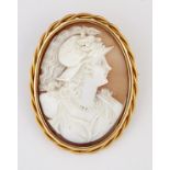 A 19TH CENTURY SHELL CAMEO BROOCH