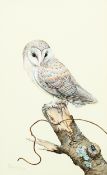 MARJORIE BLAMEY (1918-2019), BARN OWL