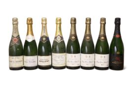 MIXED LOT OF VARIOUS CHAMPAGNES (8 BOTTLES)